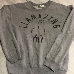 Women’s Wound Up Llamazing Sweatshirt size XS
